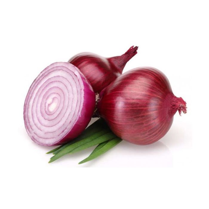 Fresh or Frozen, SCHOMT TRADE