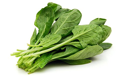 Fresh or Frozen, SCHOMT TRADE